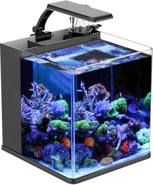 INVITAL Nano LED tengeri akvárium 23l szűrővel és habtalanítóval