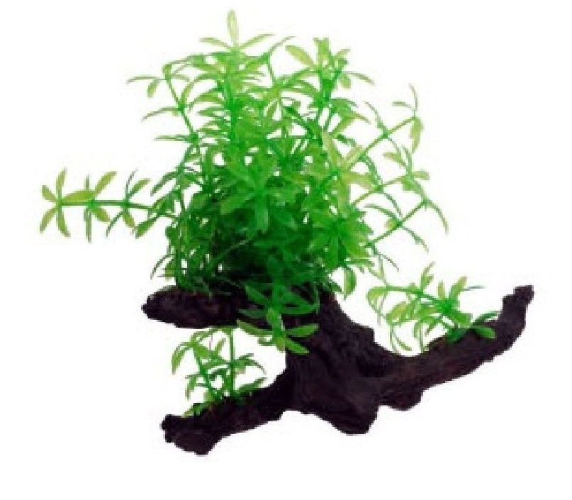 UP Aqua plastikowa roślina na korzeniu 0223132